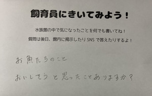 【質問】「お魚たちのこと美味しそうと思ったことはありますか?」水族館の飼育員さんの回答は… ツイッターで話題に