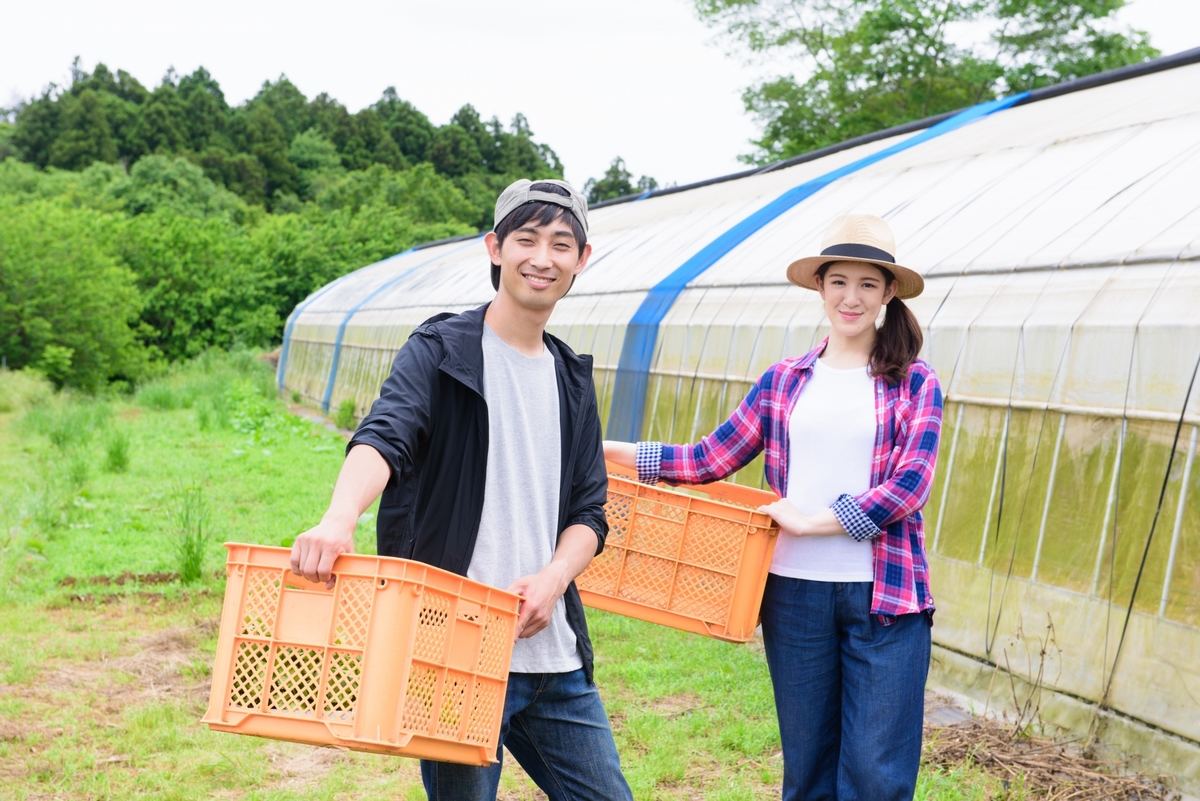 「委託」の使い方・例文