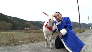 テレ東、ヤギが雑草食べまくりの90分番組　千鳥・大悟＆三宅健「見どころはヤギ」