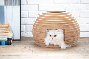 【1名様】ボール型のユニークな猫ハウス「ねこハウス(まり)」