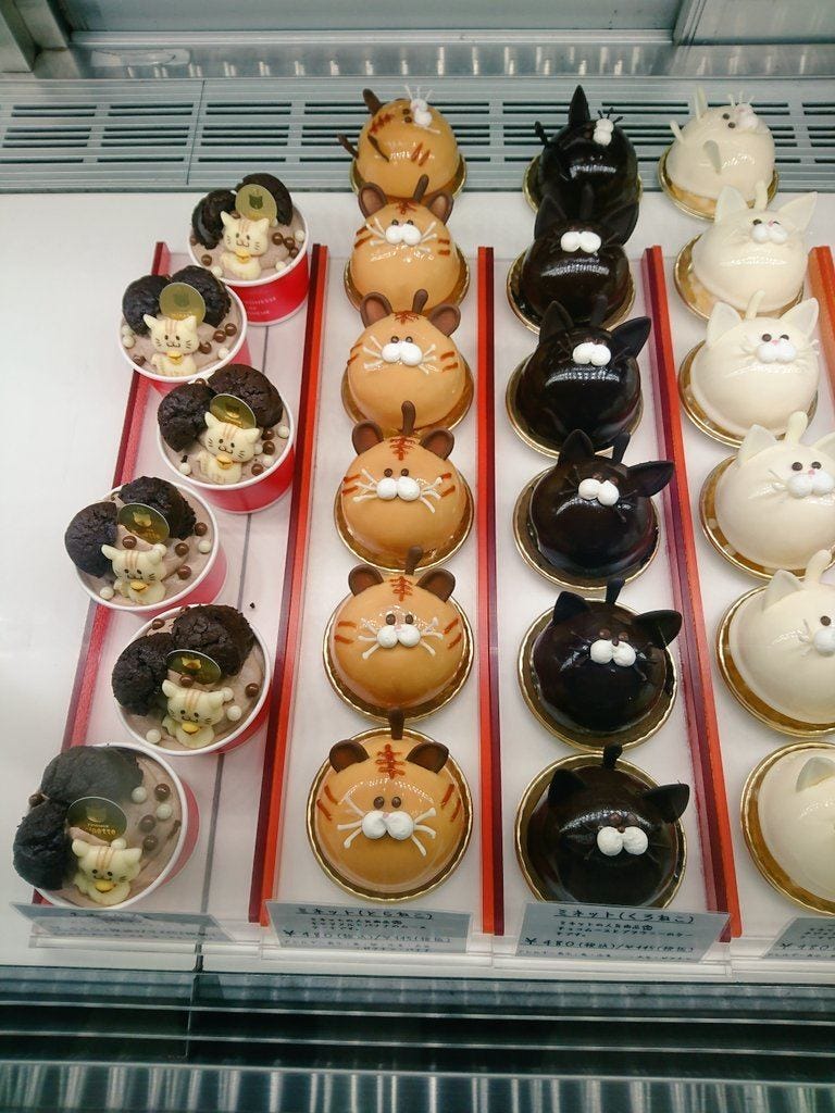 ねこケーキ 可愛すぎて食べられない ねこだらけな兵庫西宮の洋菓子店が話題に マイナビニュース