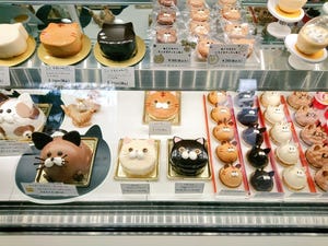 【ねこケーキ】可愛すぎて食べられない!? ねこだらけな兵庫西宮の洋菓子店が話題に