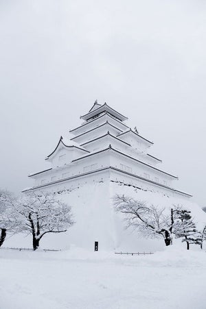 【息をのむ美しさ】雪化粧した会津「鶴ヶ城」の姿に感動の嵐 -「こんな美しいお城初めて」「神々しい」「帰りたすぎて泣ける」と28万超"いいね"集まる