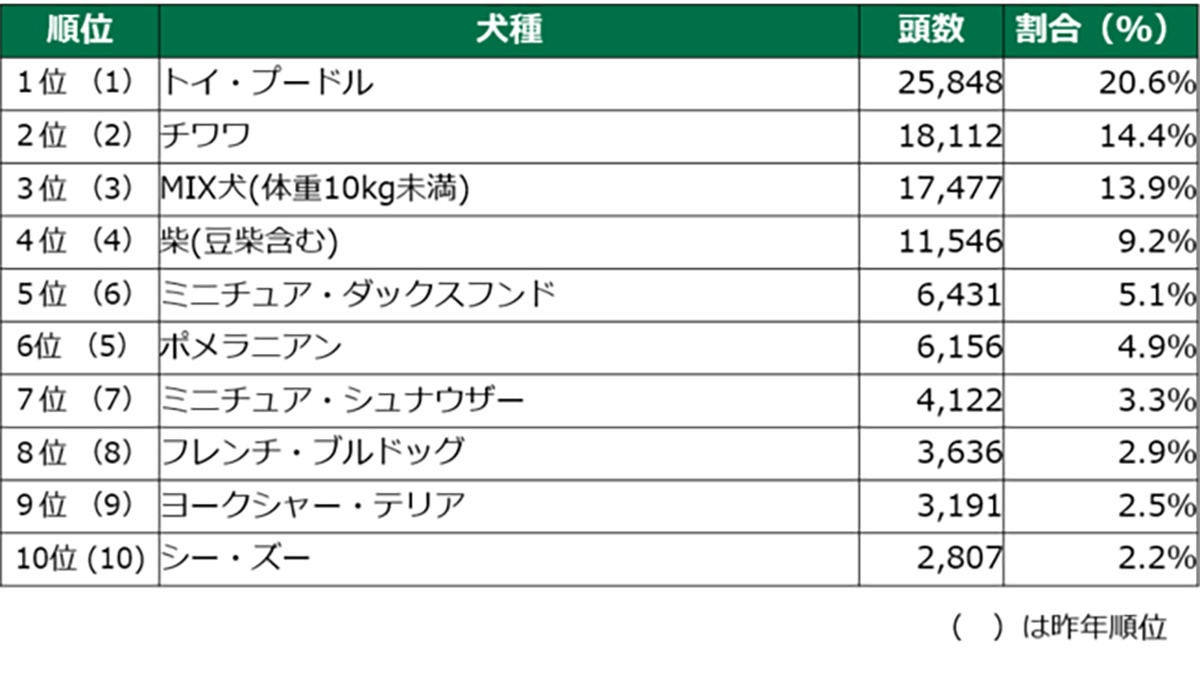 人気犬種ランキング22 発表 2位はチワワ 1位は13連覇達成のあの犬 マイナビニュース