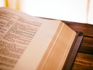 「群雄割拠」とは? 意味や例文、類語、対義語、英語表現などをご紹介