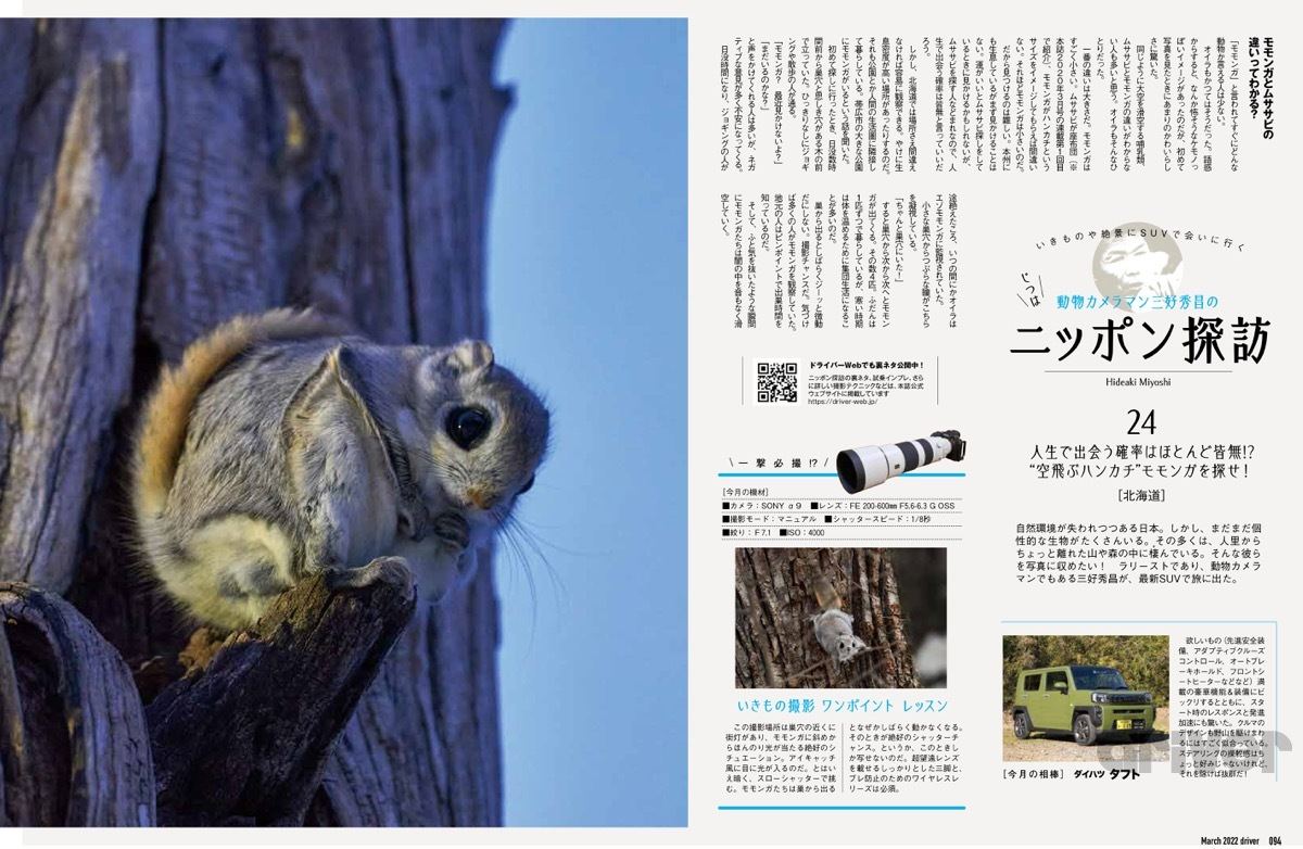 人類の知恵で小さな野生動物を瞬撮 三好秀昌のニッポン探訪 取材ウラ話 第24回 モモンガ マイナビニュース