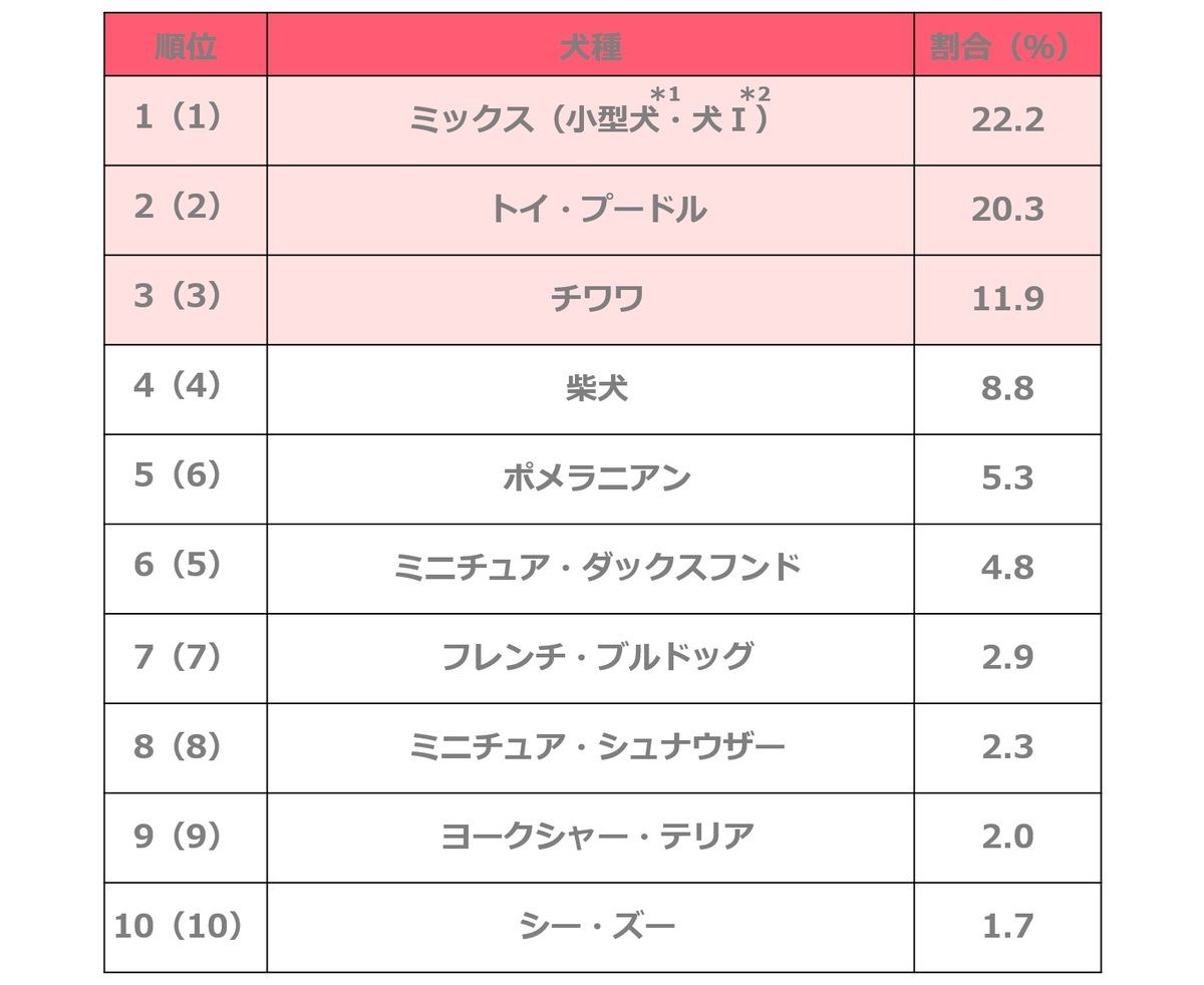 人気の猫種ランキング 1位は 2位スコ 3位マンチカン 4位アメショ マイナビニュース