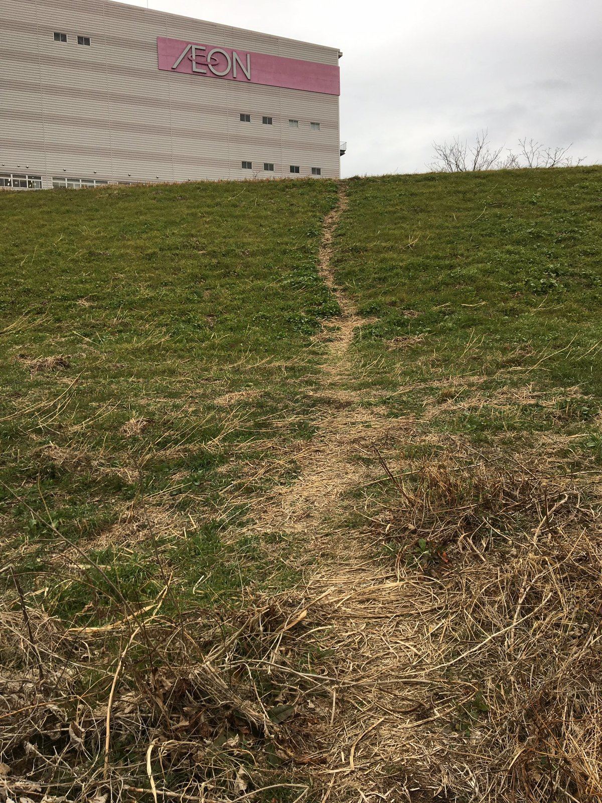 イオンへ続く道 
