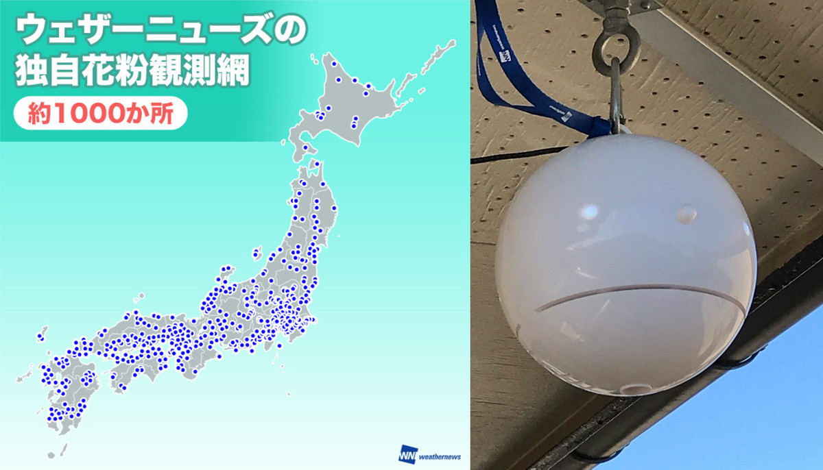 「ポールンロボ」で独自データを収集