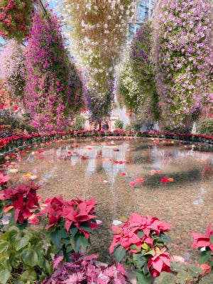 【息をのむ】夢のようなお花畑の写真に24万いいね - 実は三重県に実在する場所だった! 「あまりの美しさに数秒固まりました」「この世界に入りたい」