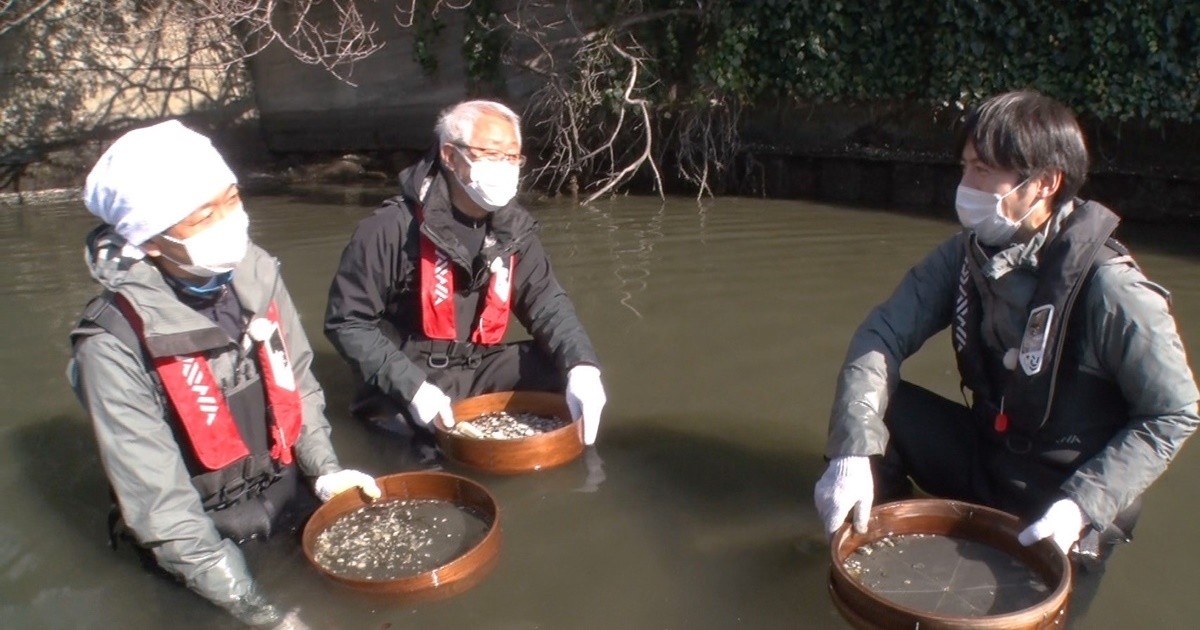 海岸 ダッシュ 【鉄腕ダッシュ】DASH海岸の場所や渚に棲息する生物は？ヤラセ？弟はどこ？