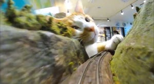 【ニャジラ】巨大猫出現でダイヤ大幅混乱中!? 保護猫とふれあえる食堂が話題に - 「ああ～! これで会社に行けない」「脱線させられても乗りたい!」