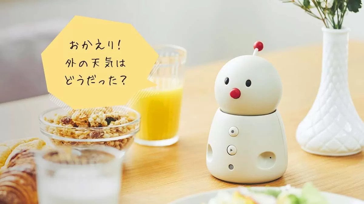 ネコリコ、見守りサービス「BOCCO emo」「まもりこ」をお得に始め