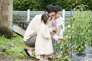 「家庭菜園」経験者は45% - かかった費用は年間いくら?