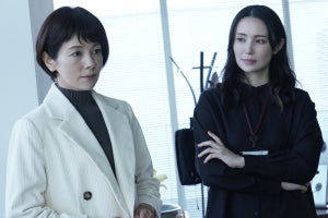 『科捜研』最終話は4・7　“殺人AI”操る天才研究者役の美村里江再び