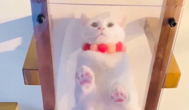 カホン キャメルブラウン 座り猫×白猫 3-