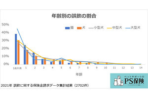 平均手術費は約8万9,000円!? ペットの誤飲にかかわる診療費を徹底調査