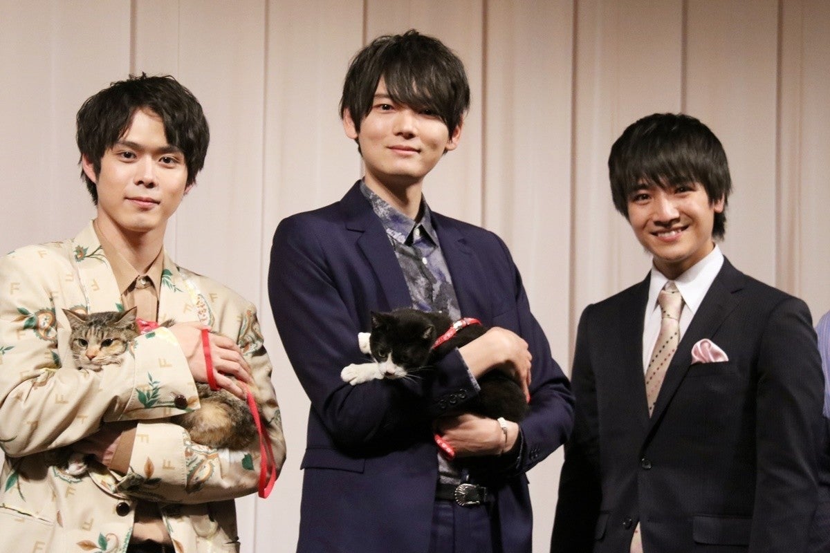 古川雄輝 念願の猫作品出演で 猫2匹飼っている と初告白 やっと言えた マピオンニュース