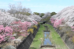 国営昭和記念公園の入園料がキャッシュレス対応! PASMOだけで半日楽しんだ