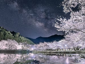 【神コラボ】夜桜と天の川のコントラストが圧巻!!「こんなにすごい景色が存在するなんて!!」「涙が出そう」の興奮の声続々