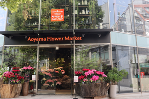 青山フラワーマーケット、南青山本店移転オープン! 大自然の中で花を楽しめる空間に