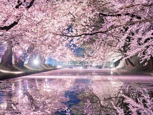 【神秘的】弘前城の桜をとらえた一枚が｢訳わからんくらい美しい｣!! 「なんじゃこりゃー!」「綺麗すぎる! なんだこれ」と大反響