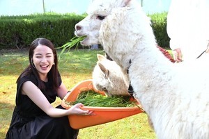 広瀬すず、アルパカと触れ合い大興奮「目がめちゃくちゃかわいい!」