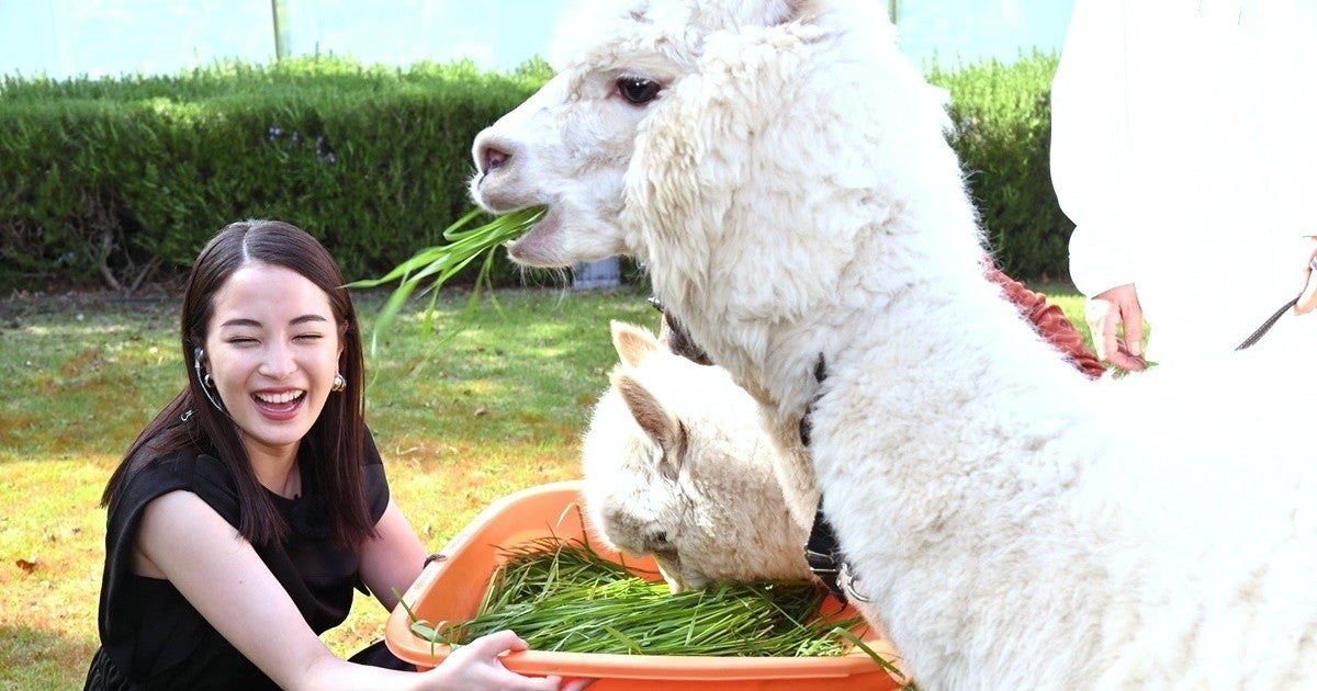 広瀬すず アルパカと触れ合い大興奮 目がめちゃくちゃかわいい マピオンニュース