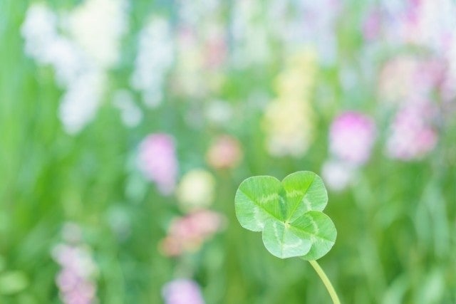 22年5月の運勢 四柱推命 月間占い 10月生まれ 誕生日 10月8日 11月6日 のあなたの運気は マイナビニュース