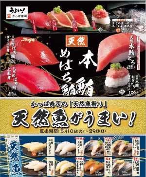 かっぱ寿司、「天然魚祭り」期間限定で開催 - 本鮪や金華鯖が登場