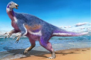 日本で新種の恐竜発見、ネットで「夢がある」「めちゃファンタジー」の声
