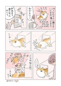 【思ってたのと違う】ペットホテル帰りの愛犬 - 久々の再会に飼い主さんに飛びつくと思いきや⁉ 意外な反応に「ひどいっw」「めっちゃ可愛い」の声