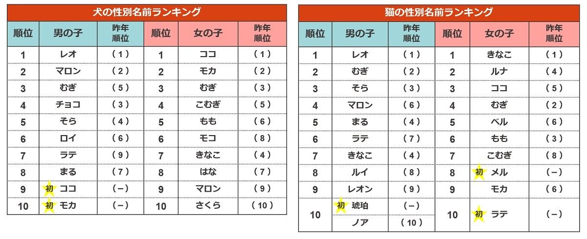 ペットの名前ランキング 犬 猫ともに2年連続1位になった名前とは マイナビニュース