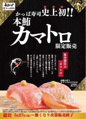 【この値段でいいの⁉】かっぱ寿司、高級魚"本鮪"の希少部位「カマトロ」一貫330円で提供!