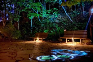 北海道の「大自然」と融合した「光のナイトウォークイベント」開催