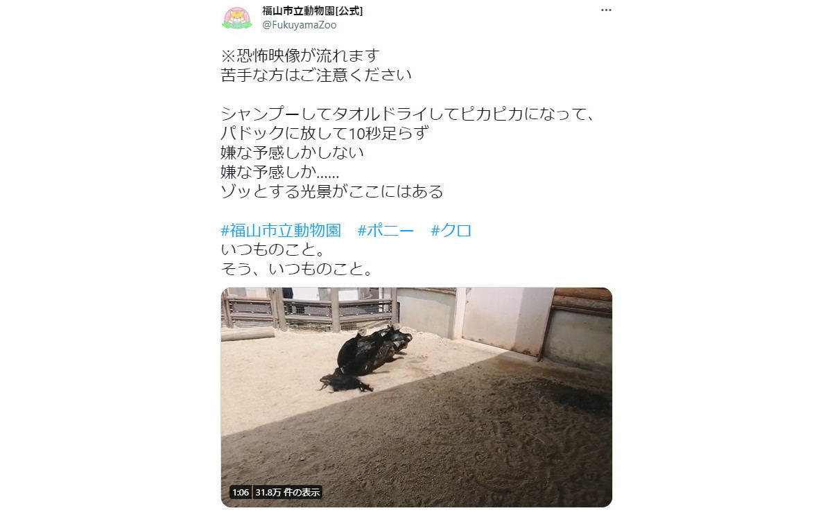 シャンプー後の馬。その後まさかの行動に、ネット「いやああぁ！ やめてぇ」