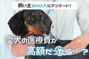 愛犬に高額治療が必要な場合、「金額に関係なく治療する」人は約4割 - いくら以上だったら治療を諦める?