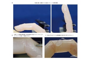 ターミネーター？ 生きた皮膚で覆われたロボットが話題に、東京大学が開発