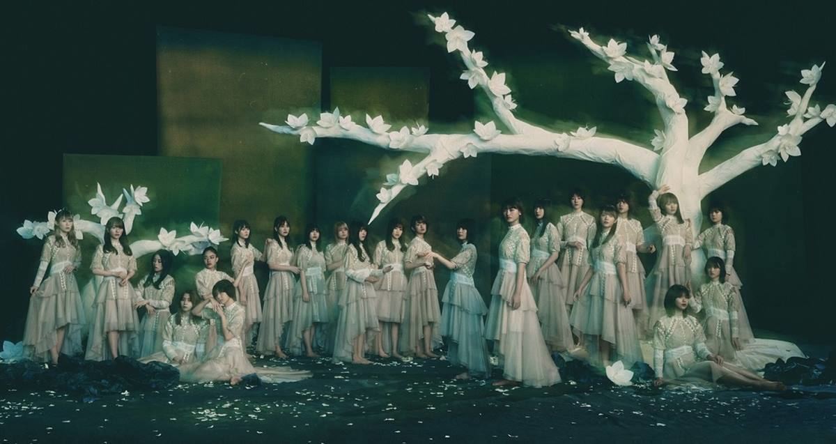 櫻坂46 渡邉理佐 卒業コンサート DVD 完全生産限定盤 シリアル