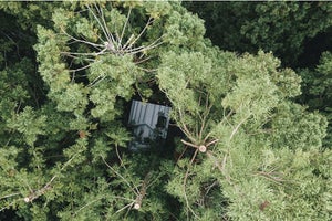 島根県の森の中に「泊まれるツリーハウス」が登場