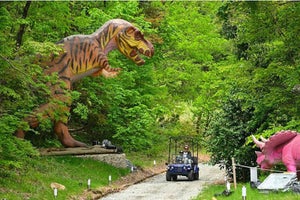 巨大な恐竜がお出迎え! 京都府京丹後市のグランピング施設にダイナソールーム
