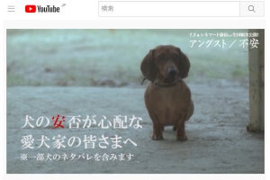 「犬の安否が心配な皆様へ」 - 安心安全な映画の宣伝文句がネットで話題