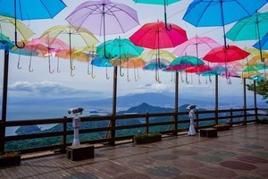 梅雨といえば何を連想する? 花･動物･お悩みなどランキング形式でご紹介