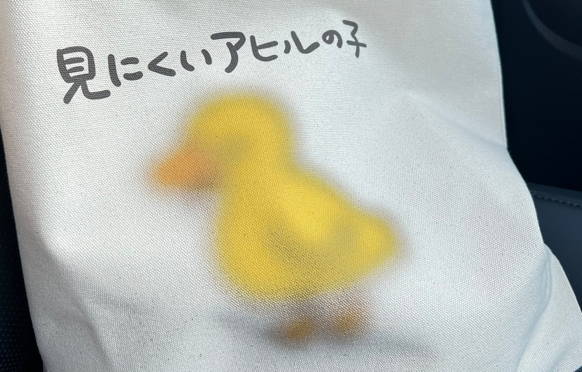 脳がバグる みにくいアヒルの子 物理 に大反響 そうきたか 本当にみにくい マイナビニュース