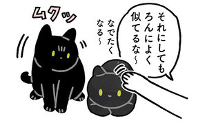 【嫉妬!】自分そっくりのぬいぐるみがやってきた! 黒猫の反応は…? -「愛おしい…」「可愛いの相乗効果」 