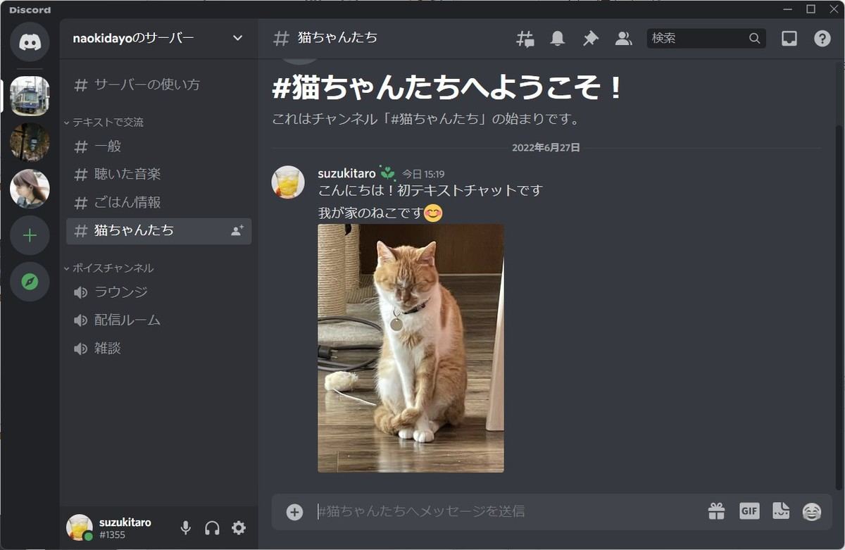 Pc版discordでテキストチャットをする マイナビニュース