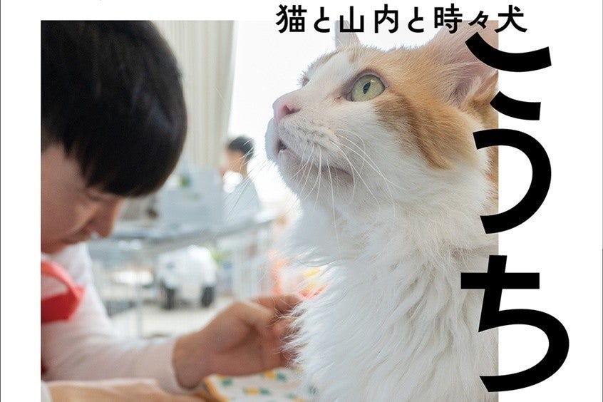 かまいたち山内、自ら撮影した愛猫写真集「奇跡のタイミングで発売