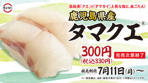 スシロー、ハイブリッド魚がついに登場! 「鹿児島県産タマクエ」期間限定で販売