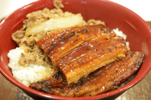 うなぎの季節がやってきた!すき家で一番高いメニュー”特うな牛丼”を食べてみた結果