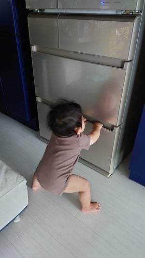 【え⁉】「パパ」と言いながら必死に冷蔵庫を開けようとする0歳児。その姿に「おもしろかわいいww」「笑いがとまらない」「助けようとしてるのかも」の声 - 真相はいかに?